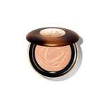Iluminator pudra C.E. Skin Transforming Highlighter