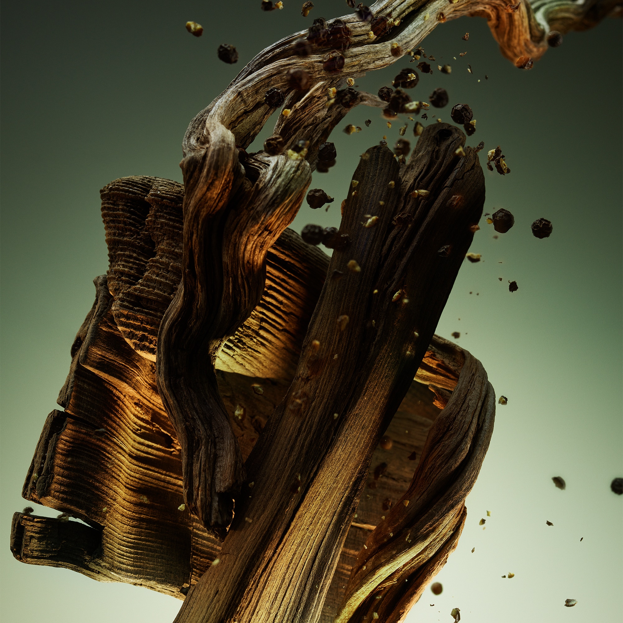 Man Wood Essence Parfum