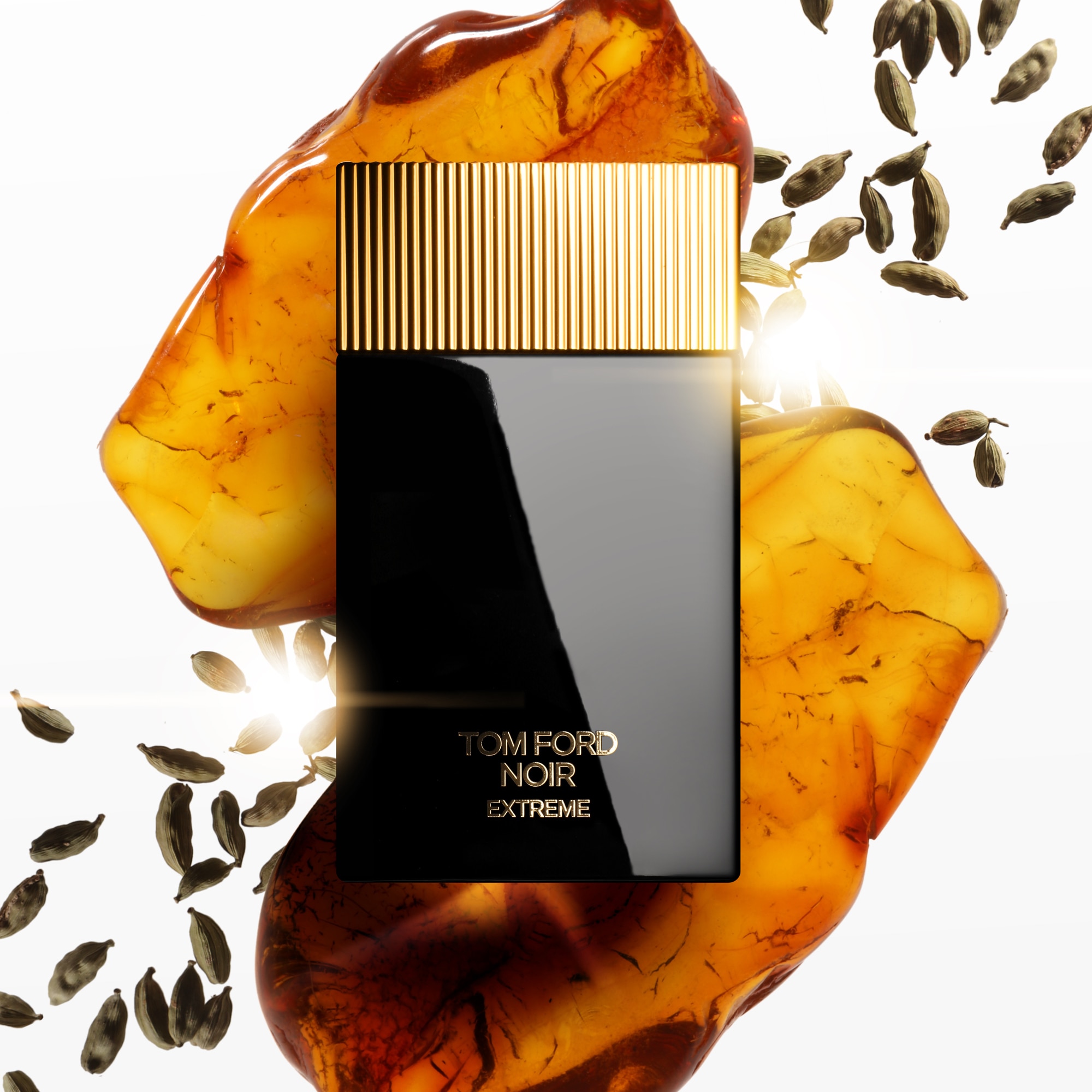 100 ML Tom Ford NOIR Noir Extreme, Apa de Parfum 1 of 2