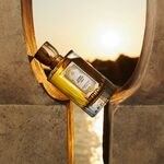100 ML Annick Goutal Ambre Sauvage Ambre Sauvage Apa de Parfum  5 of 6 Ambre Sauvage Apa de Parfum