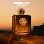 30 ML Burberry GODDESS Burberry Goddess Amber Vanilla Intense Apa de Parfum 5 of 7 Burberry Goddess Amber Vanilla Intense Apa de Parfum