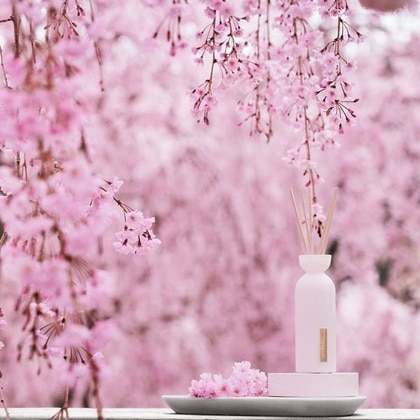 Betisoare parfumate Sakura
