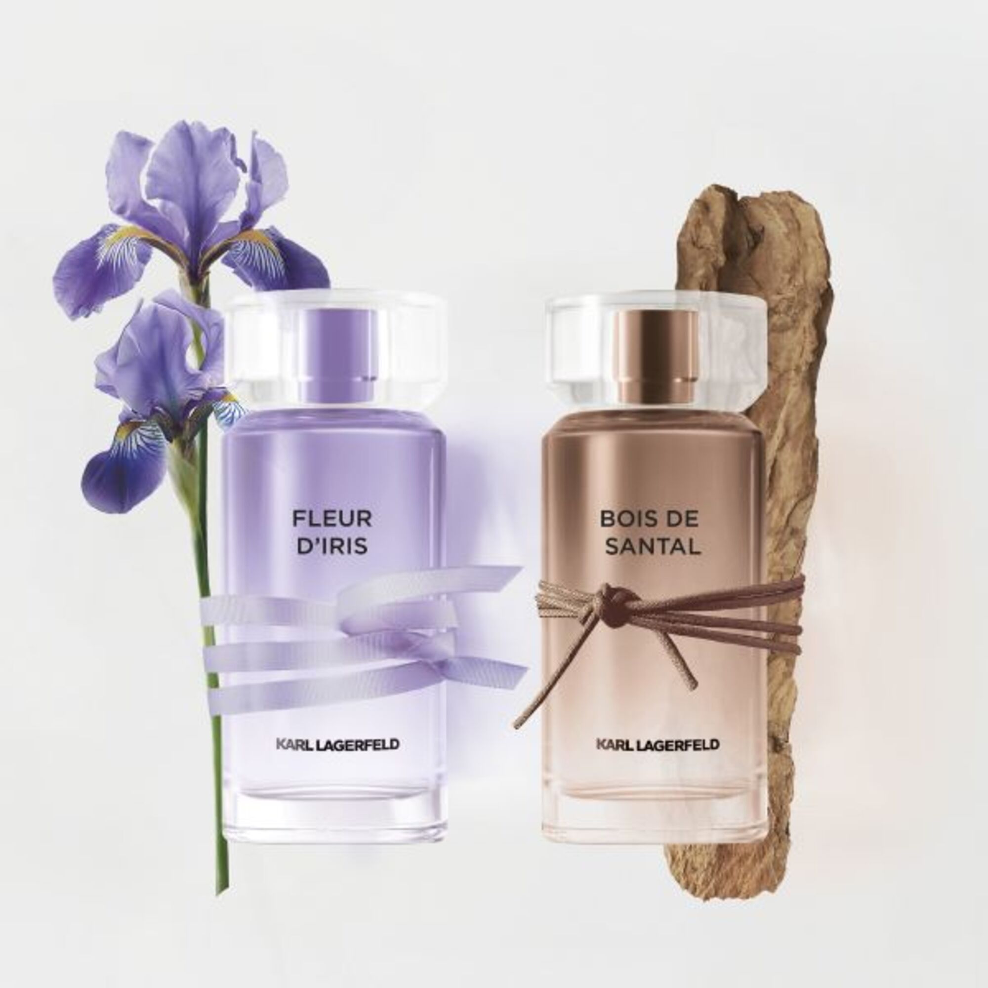 Fleur D'Iris Apa de Parfum