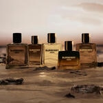 50 ML Burberry HERO Burberry Hero Eau de Parfum for Men  5 of 7 Burberry Hero Eau de Parfum for Men