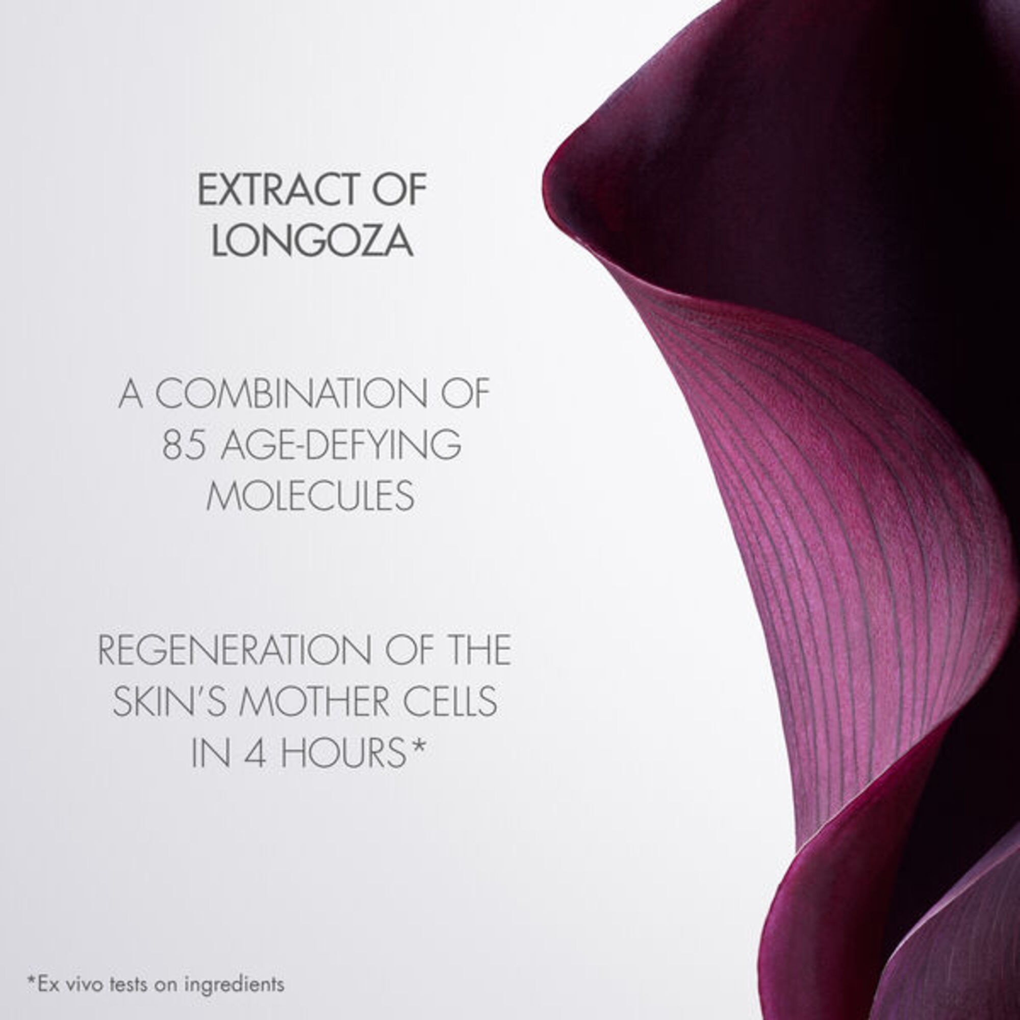 Lotiune pentru curatarea tenului Intensive Essence