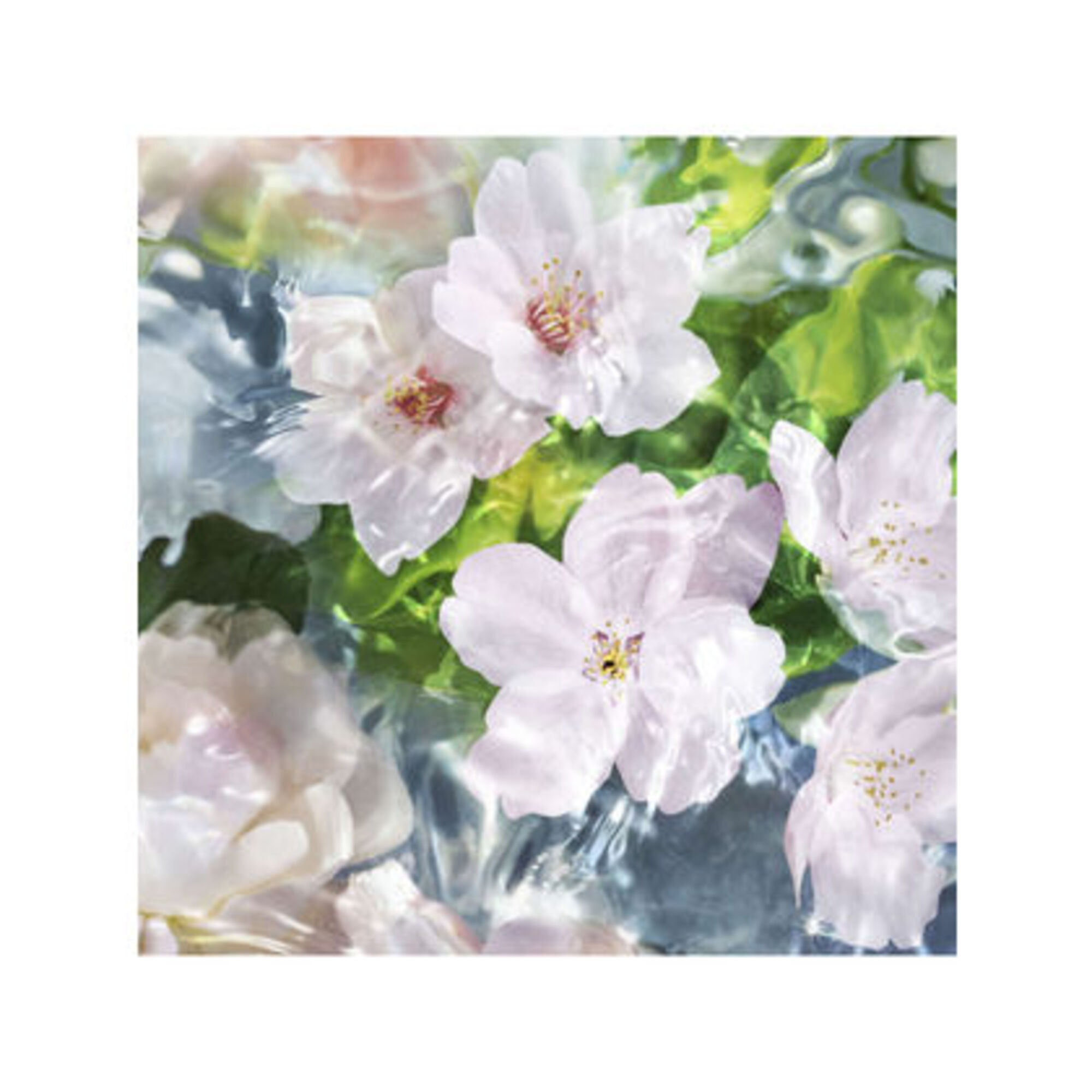 Aqua Allegoria Flora Cherrysia Apa de Toaleta