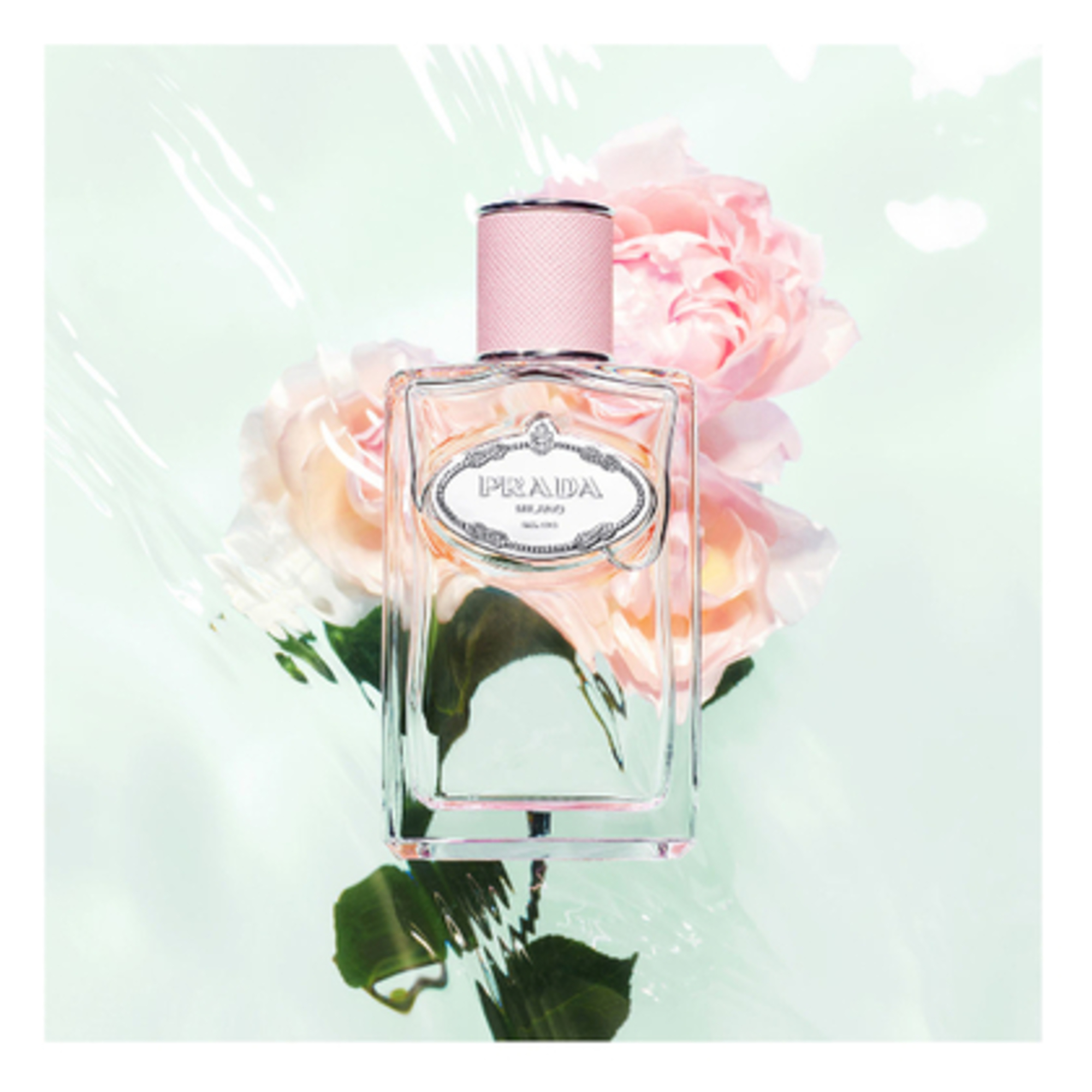Infusion Rose Apa de Parfum