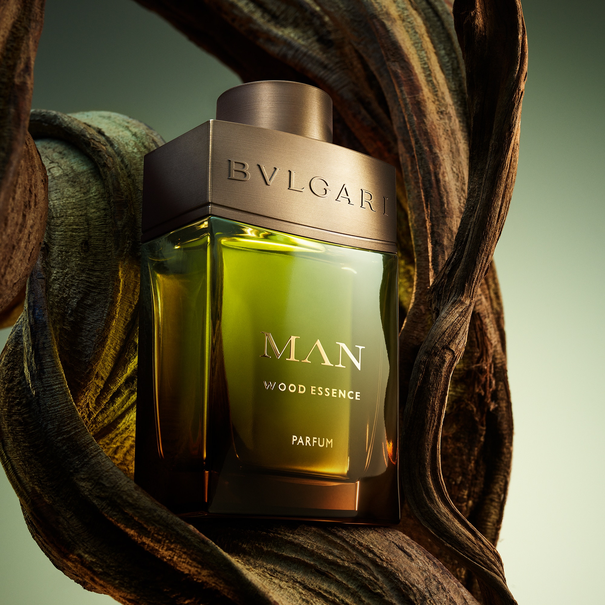 Man Wood Essence Parfum