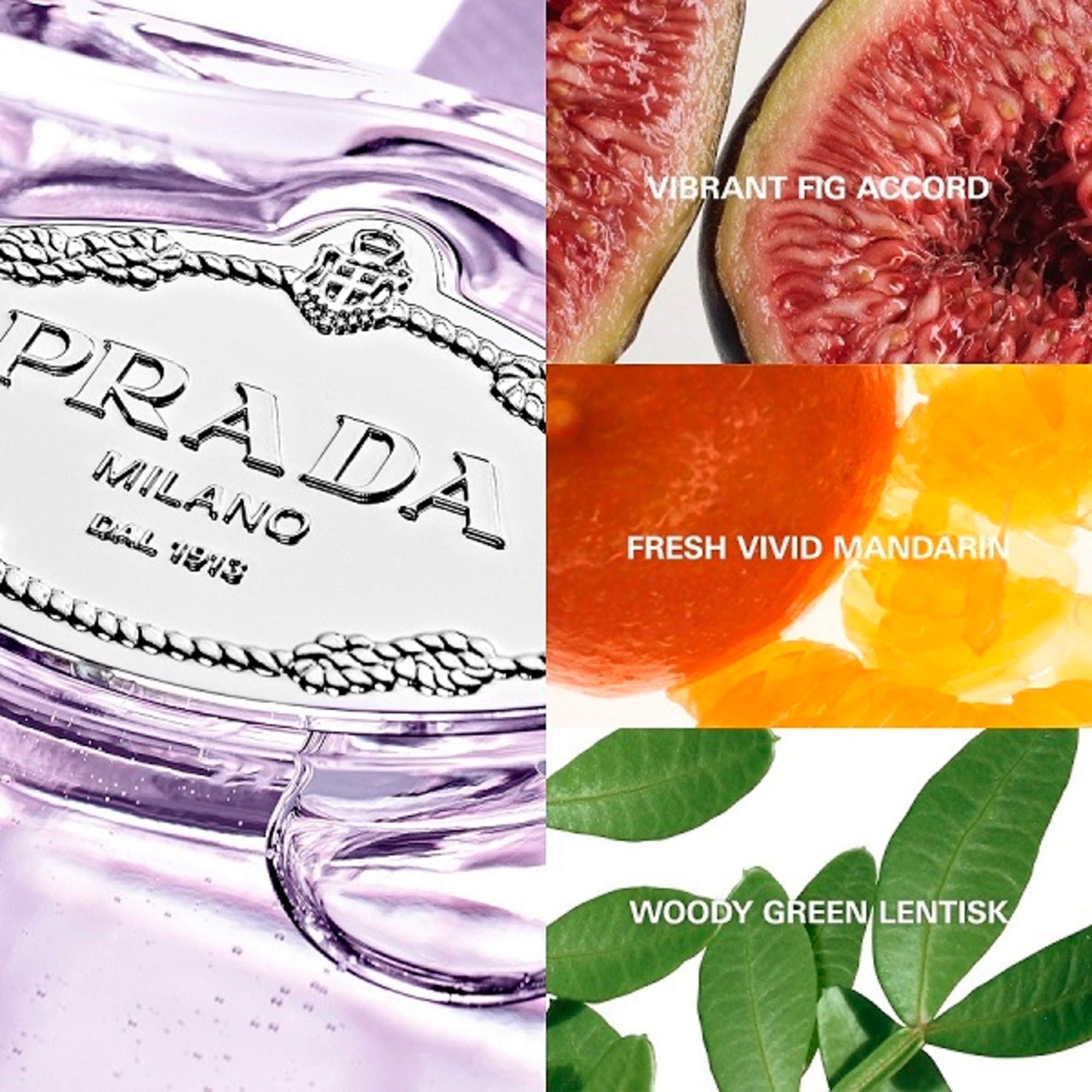 Infusion Figue Apa de Parfum