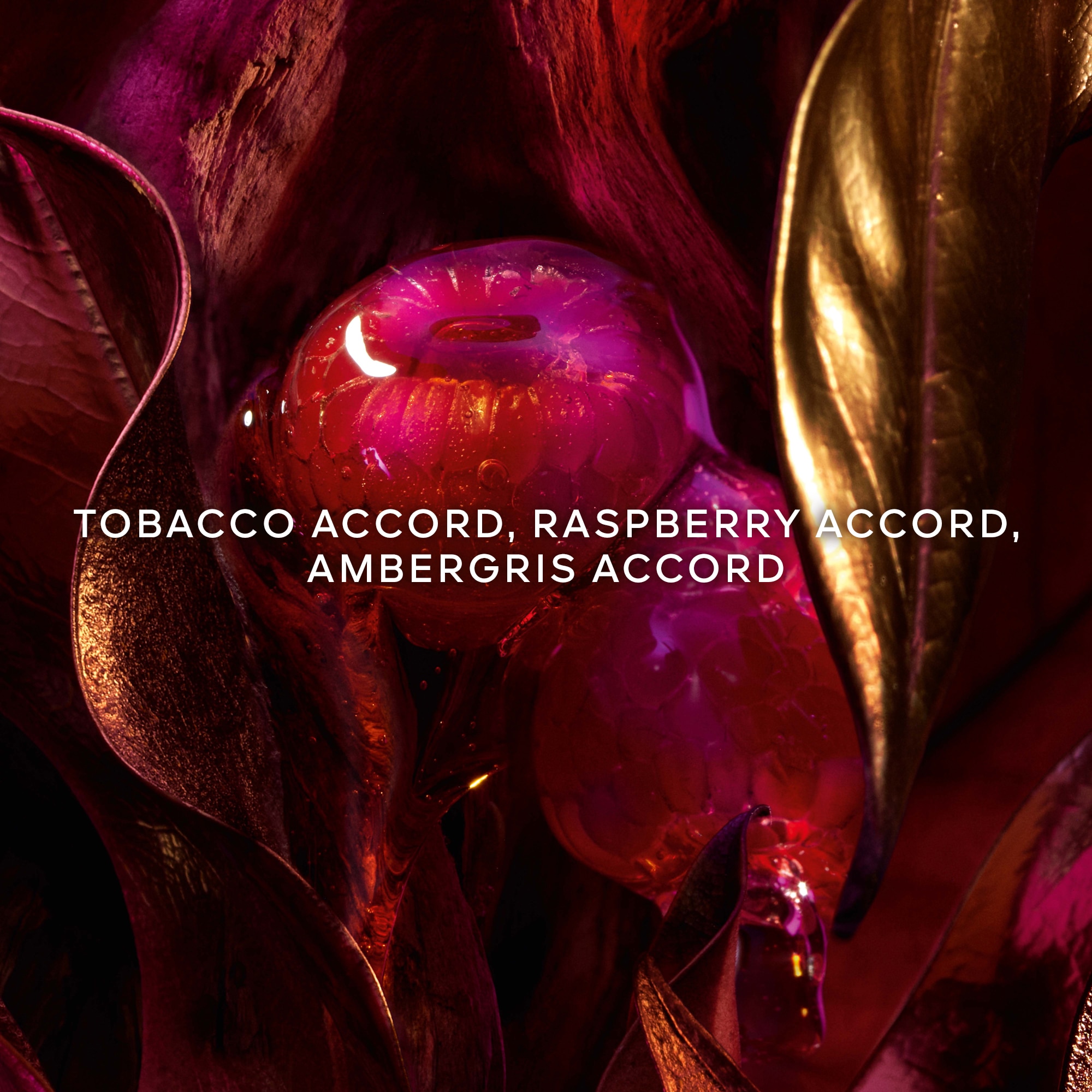 Absolus Allegoria Tabac Sahara Apa de Parfum