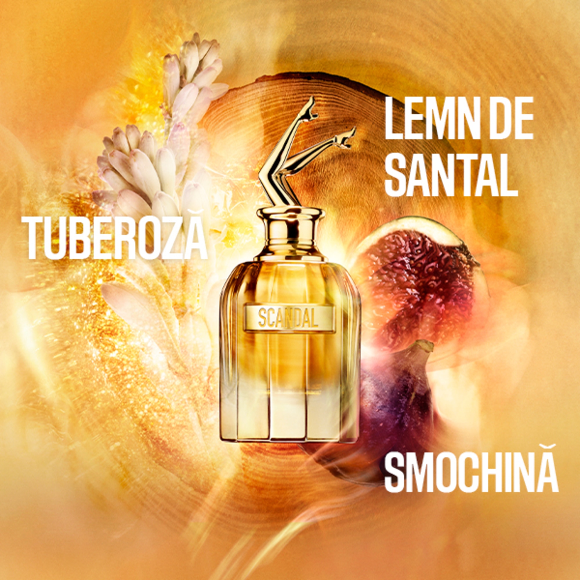 Scandal Absolu for Her Parfum Concentre