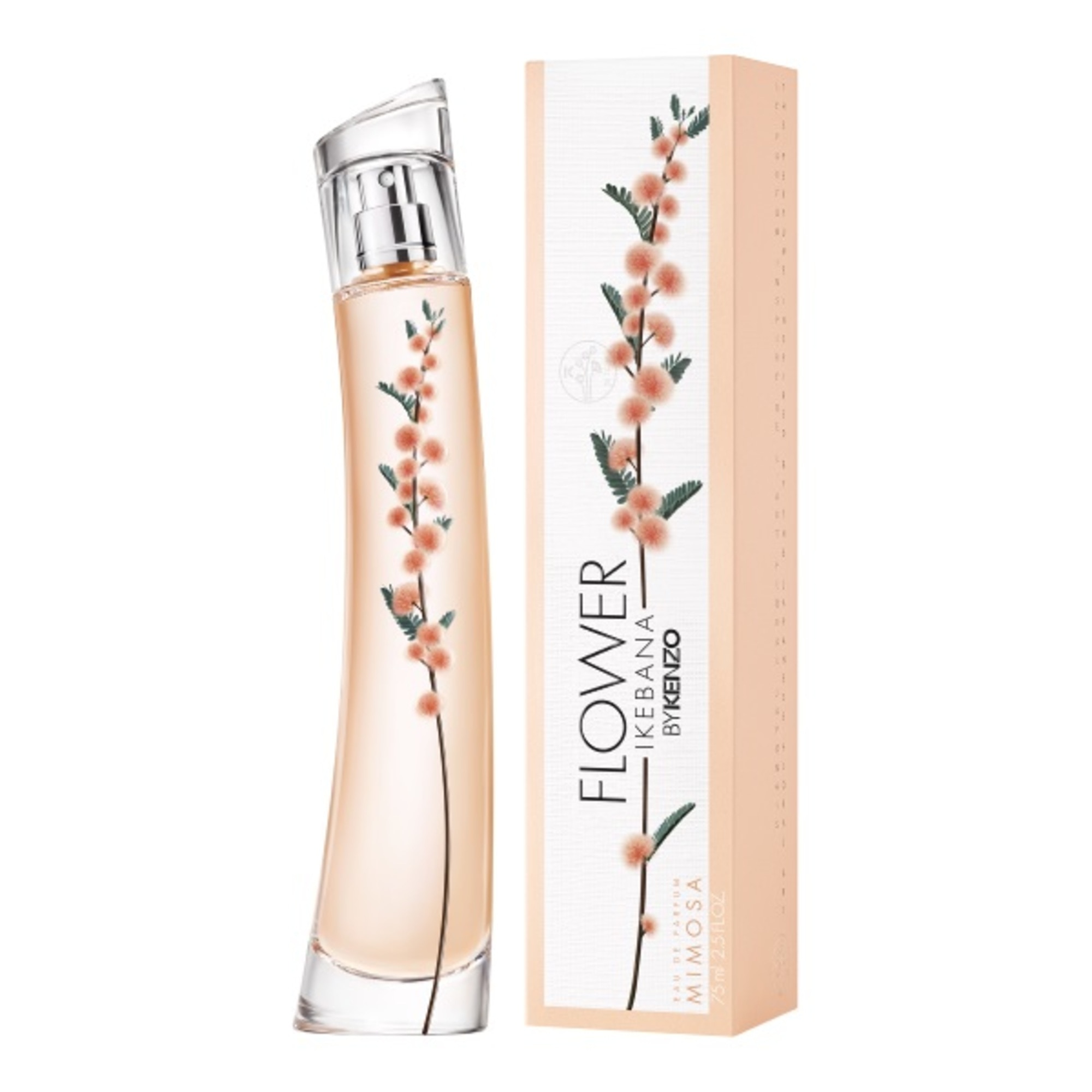 Flower Ikebana Mimosa Apa de Parfum