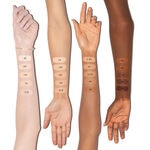 Dior FOREVER Fond de ten stick Skin Perfect 2 of 2 Fond de ten stick Skin Perfect