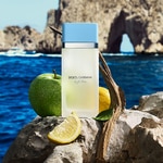 30 ML Dolce & Gabbana LIGHT BLUE Light Blue Apa de Toaleta  4 of 6 Light Blue Apa de Toaleta