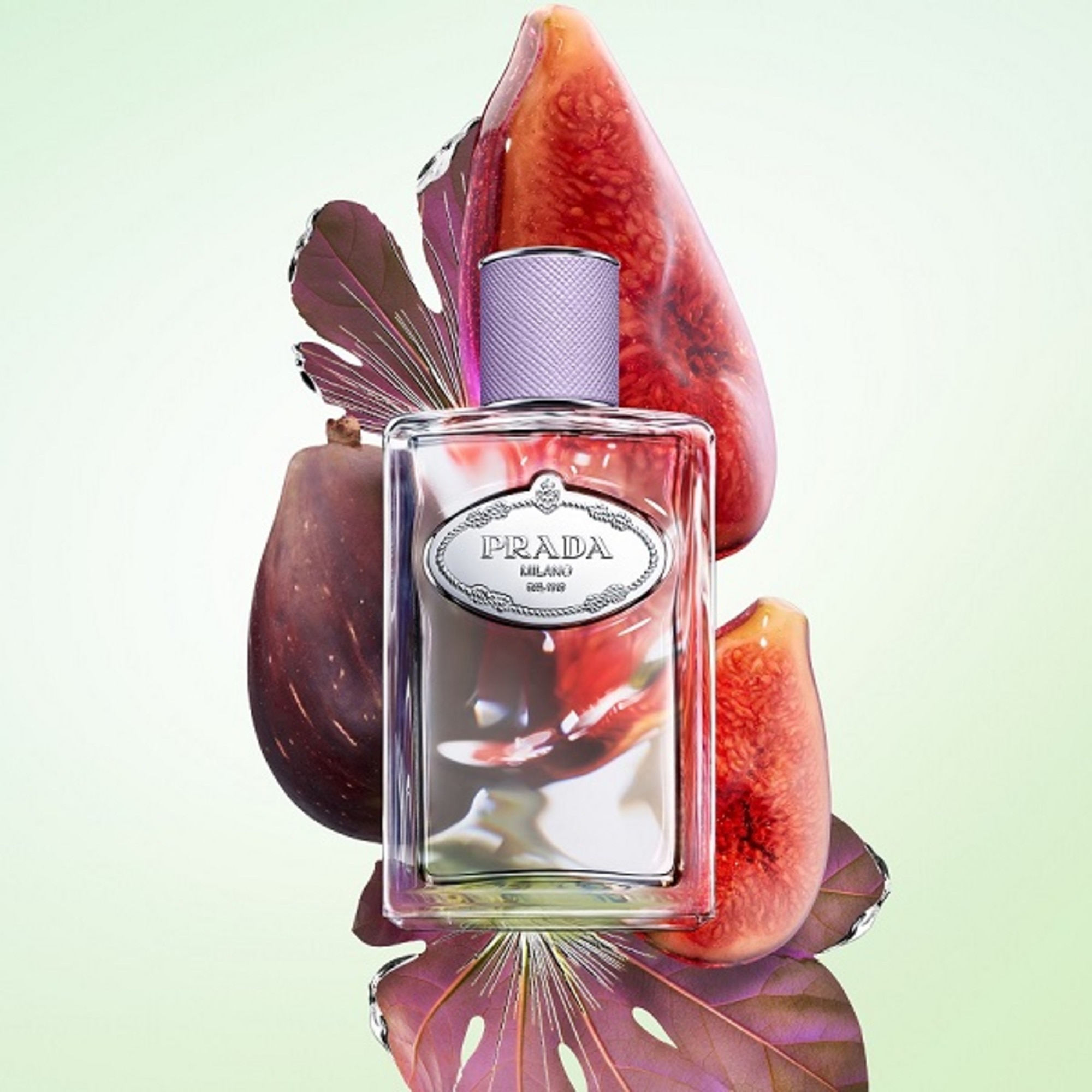 Infusion Figue Apa de Parfum