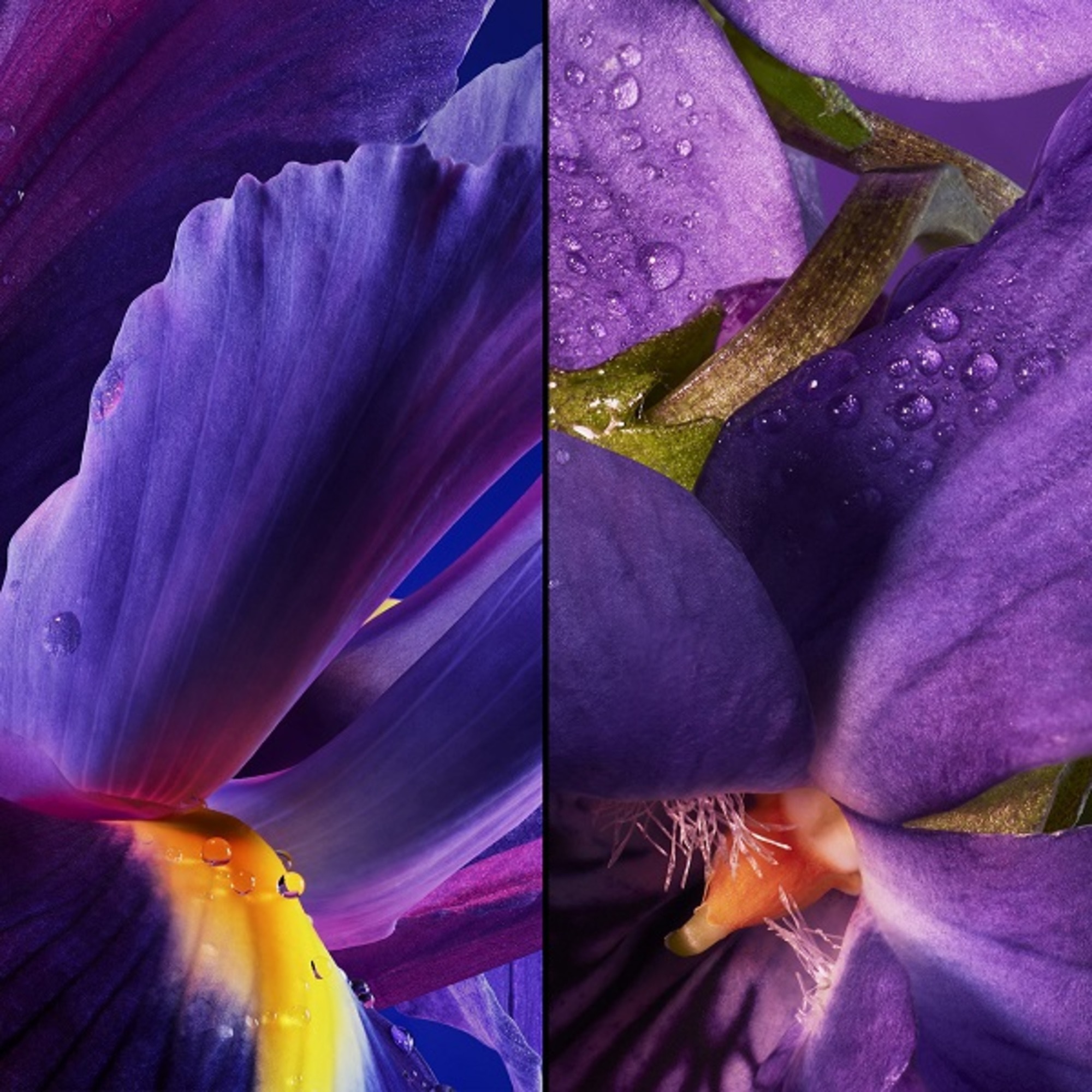 L Heure Bleue Apa de Toaleta