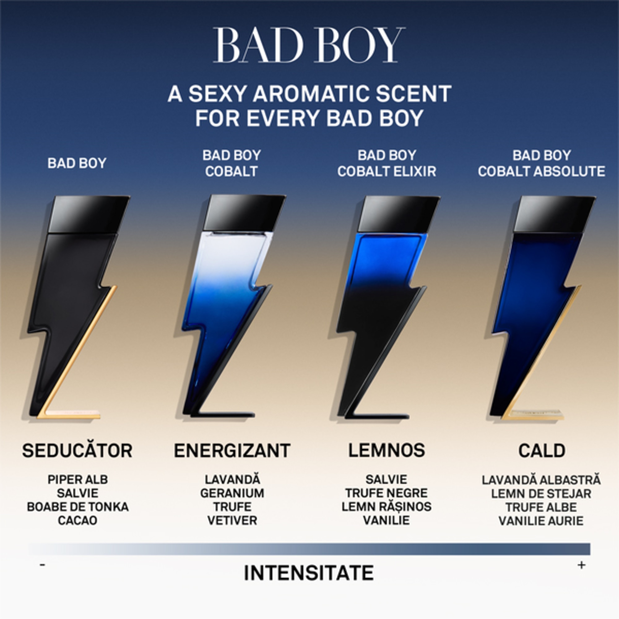 Bad Boy Cobalt Absolute Apa de Parfum