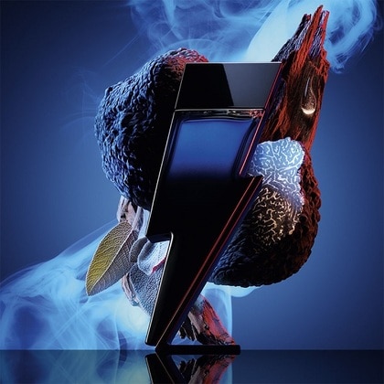 Bad Boy Cobalt Elixir Apa de Parfum