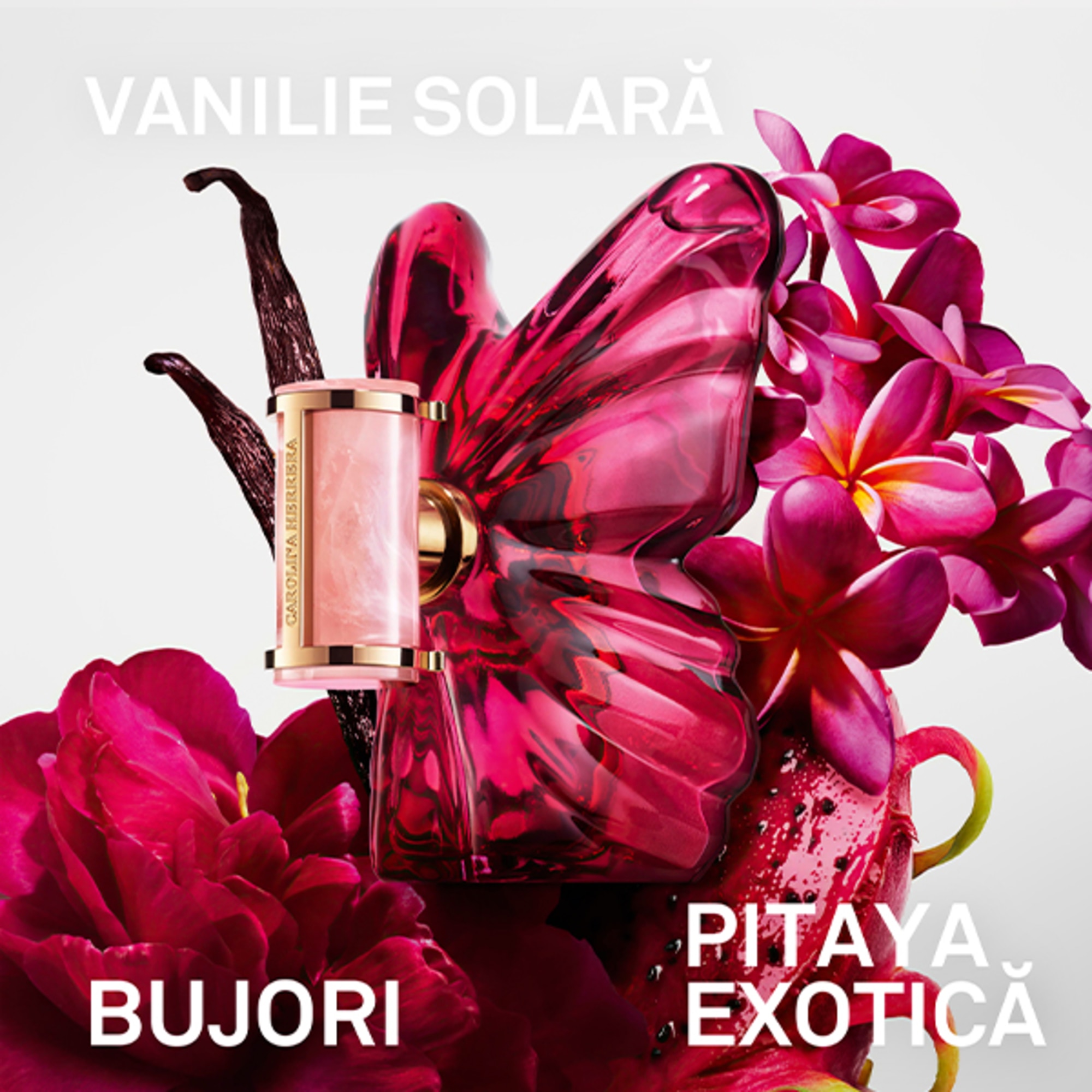 La Bomba Apa de Parfum