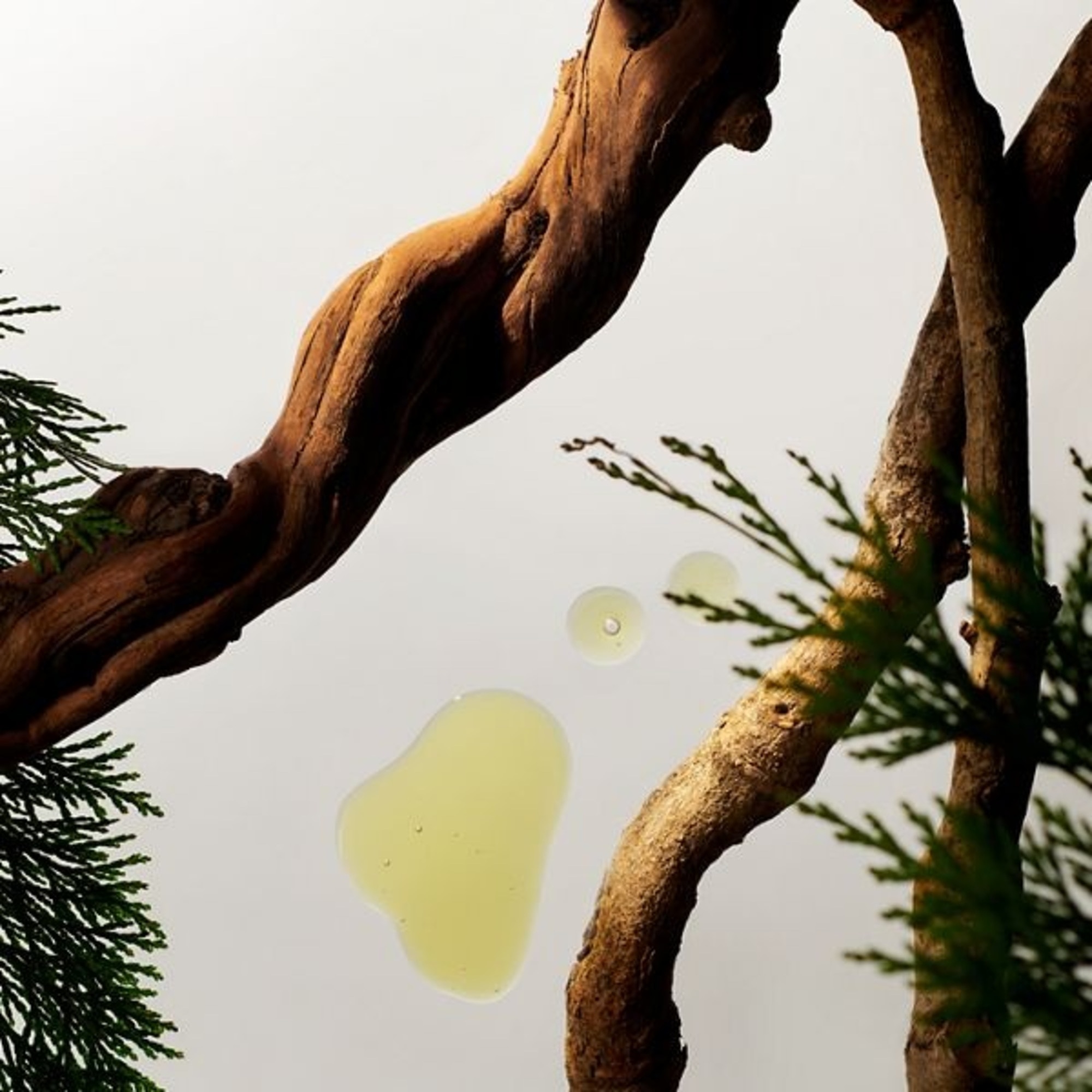 Sampon Homme Strengthening Caffeine