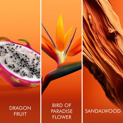 Escada Bali Paradise Apa de Toaleta