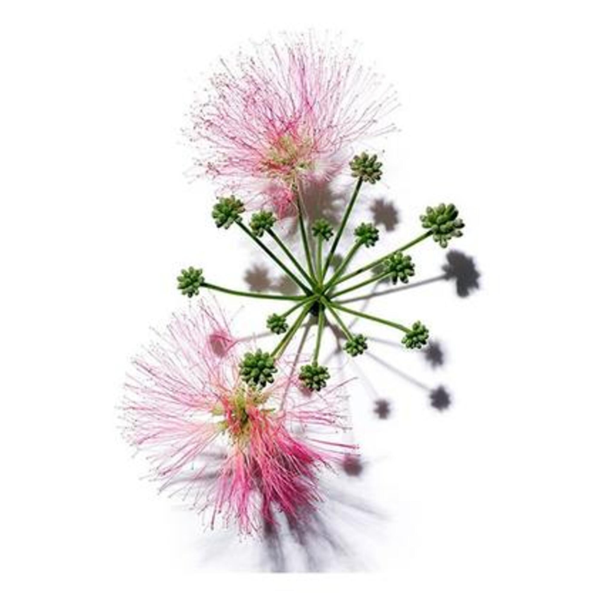 Crema pentru conturul ochilor Total Eye Smooth