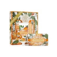 60+200 ML+G Somerset AAA Body Care Set de ingrijire Orange Blossom  