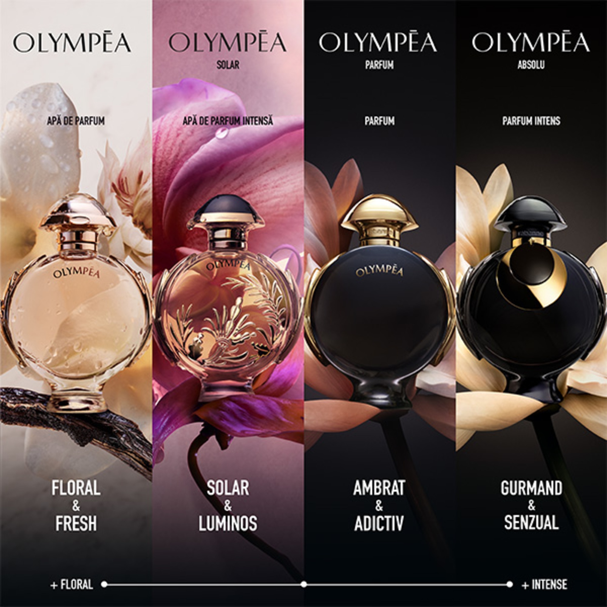 80 ML Rabanne OLYMPEA Olympea Absolu Parfum Intense  1 of 6 