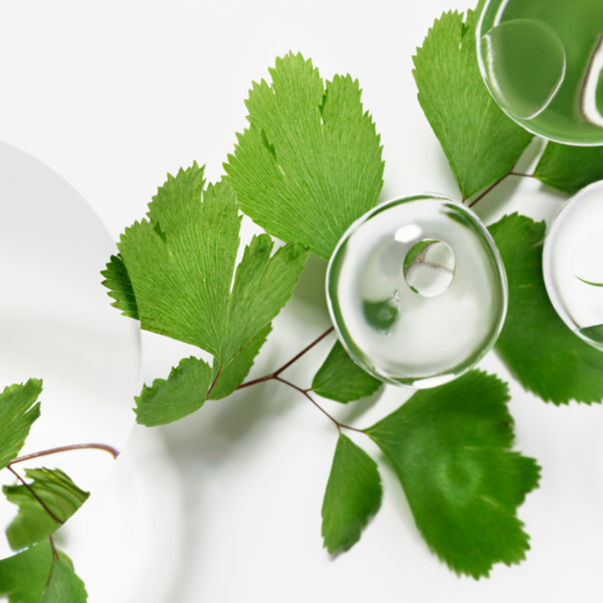 Emulsie hidratanta efect regenerator Ecological Compound