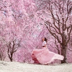 200+70+15+150 ML Rituals The Ritual of Sakura Set The Ritual of Sakura Large  5 of 6 Set The Ritual of Sakura Large