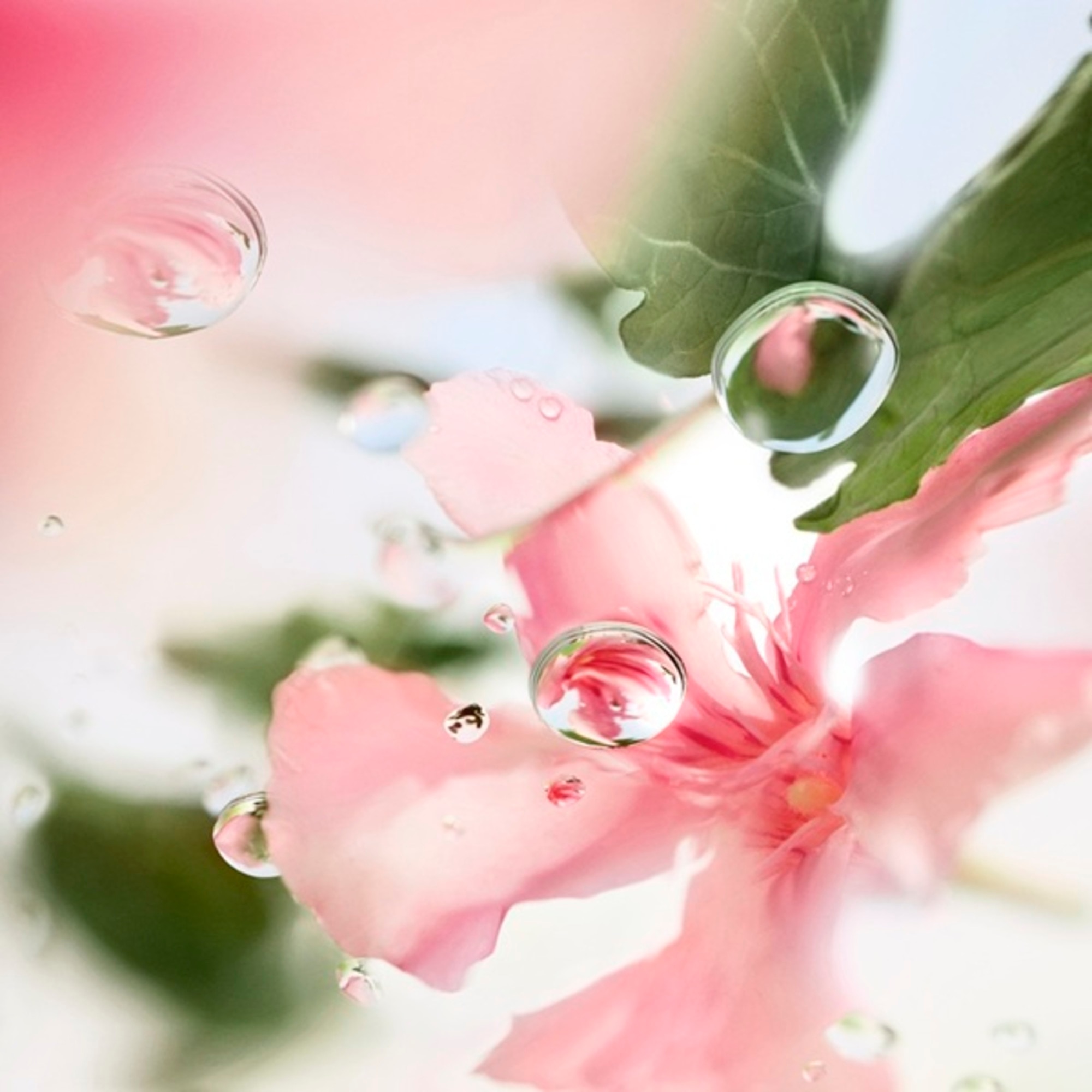 Ôver The Top Apa de Toaleta