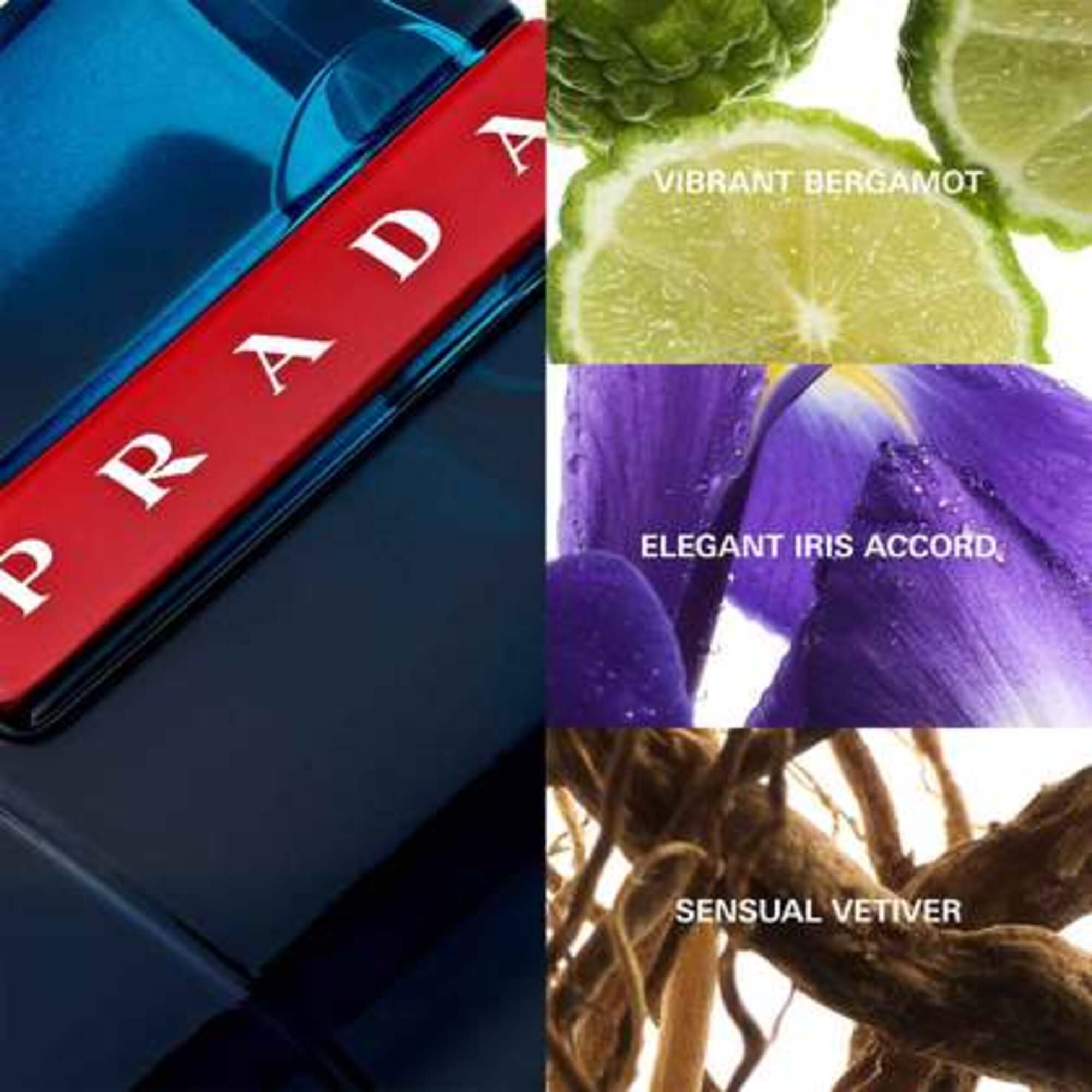 Luna Rossa Ocean Apa de Toaleta