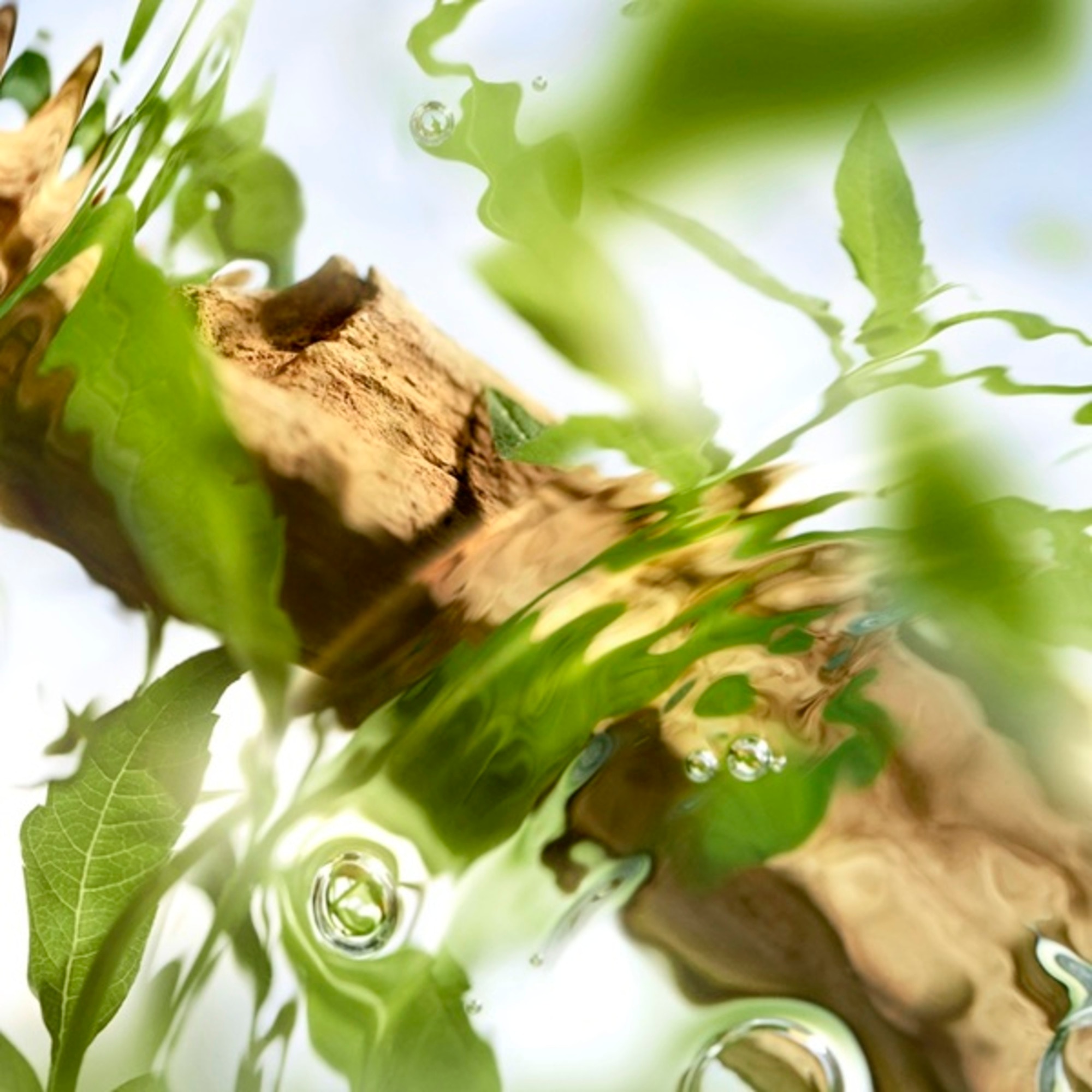 Ôff Now Apa de Toaleta