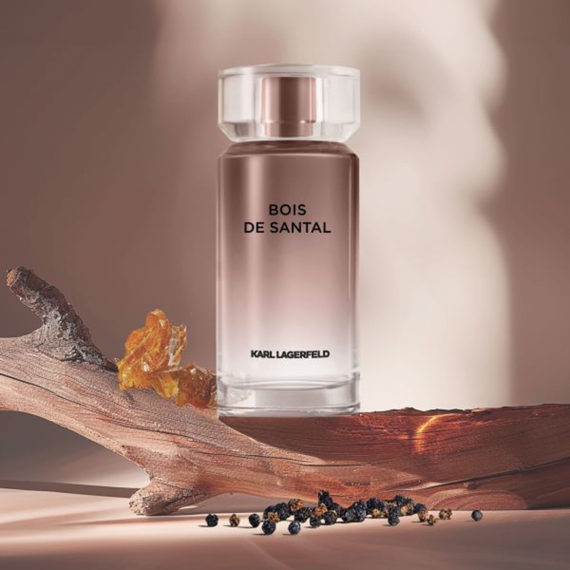 Bois Santal Apa de Toaleta