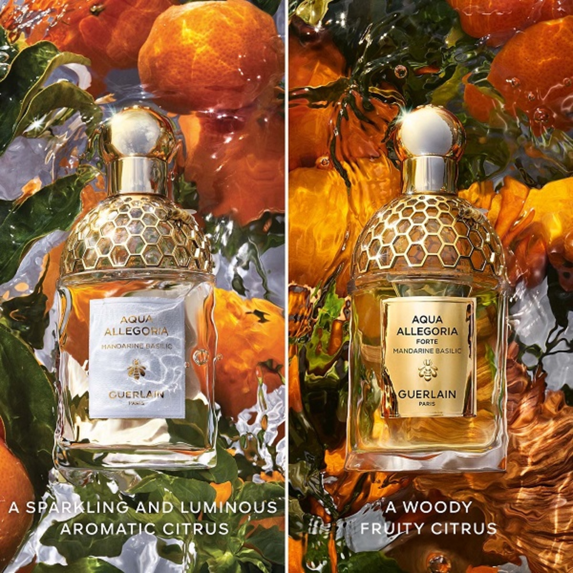 Aqua Allegoria Forte Mandarine Basilic Apa de Parfum