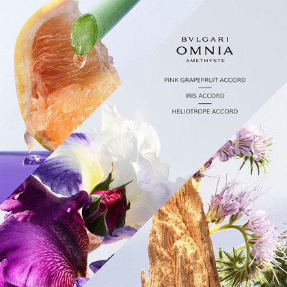 Omnia Amethyste Apa de Toaleta