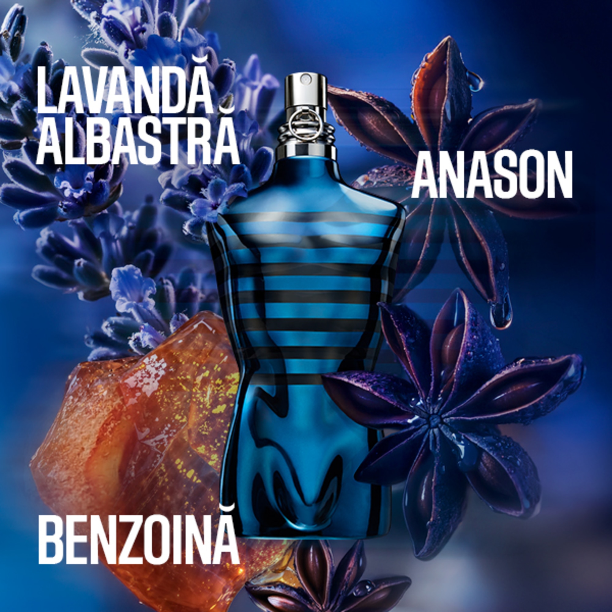 125 ML Jean Paul Gaultier LE MALE Le Male in Blue Eau de Parfum  2 of 6 Le Male in Blue Eau de Parfum