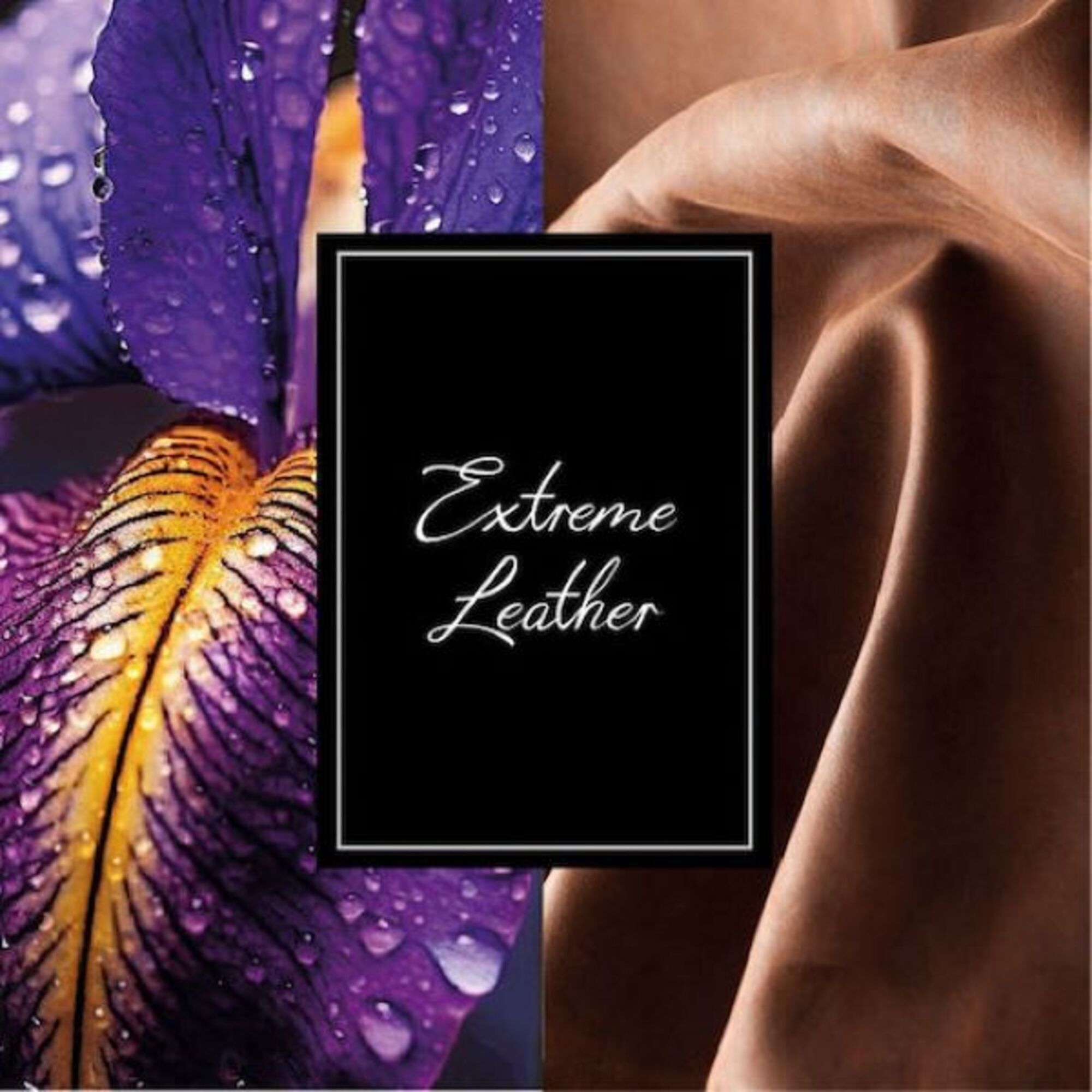 125 ML Montblanc COLLECTION Extreme Leather Apa de Parfum  1 of 6 