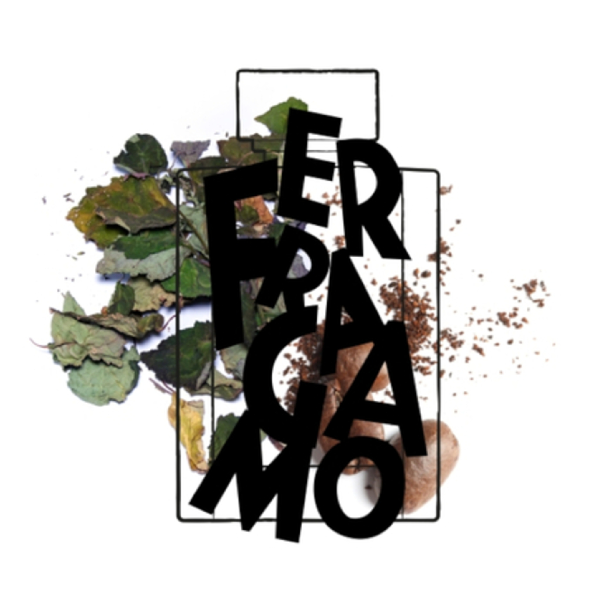 Uomo Signature Apa de parfum