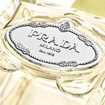 100 ML Prada LES INFUSION Infusion de Gingembre Apa de Parfum 2 of 3 Infusion de Gingembre Apa de Parfum
