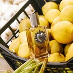 100 ML Dolce & Gabbana DEVOTION Devotion Pour Homme Apa de Parfum 5 of 5 Devotion Pour Homme Apa de Parfum