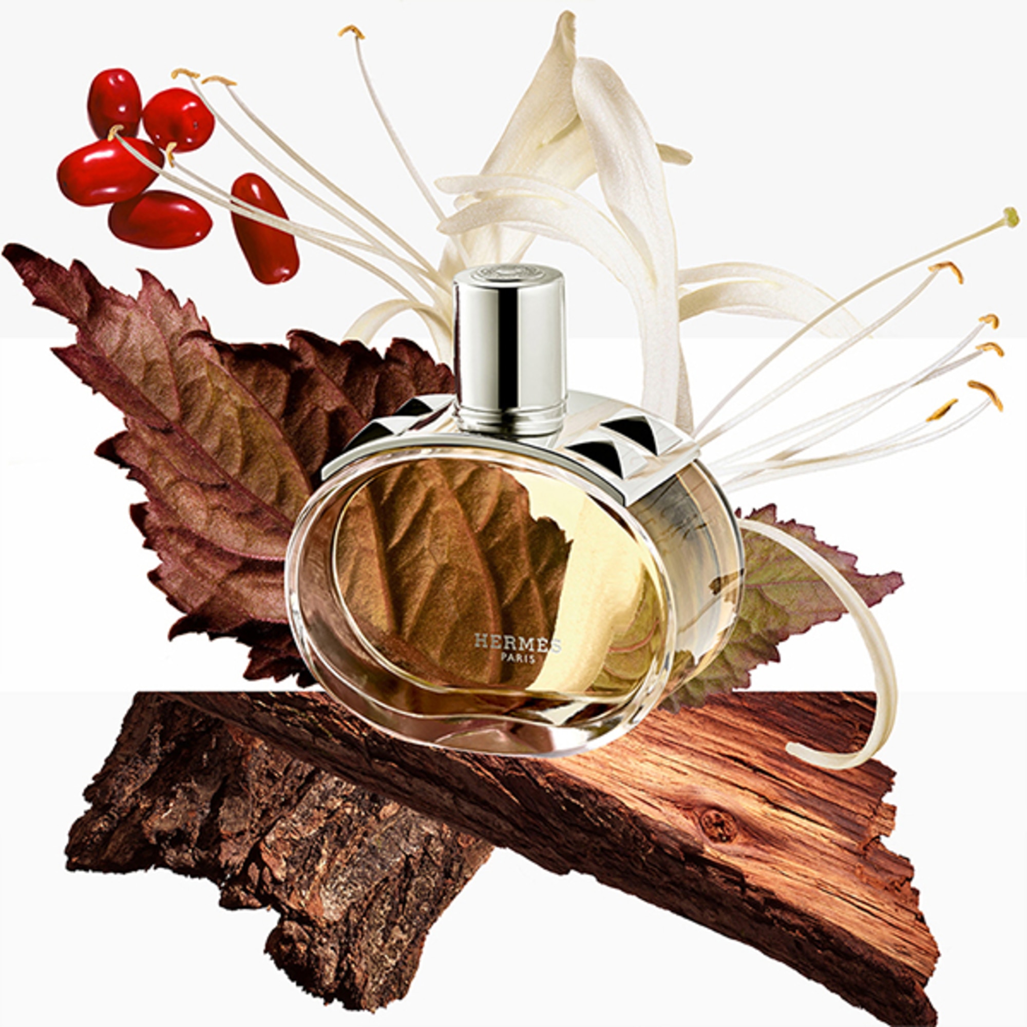 Hermès Barenia Barenia Apa de Parfum | Marionnaud