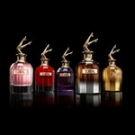30 ML Jean Paul Gaultier SCANDAL Scandal Elixir Eau de Parfum  5 of 6 Scandal Elixir Eau de Parfum