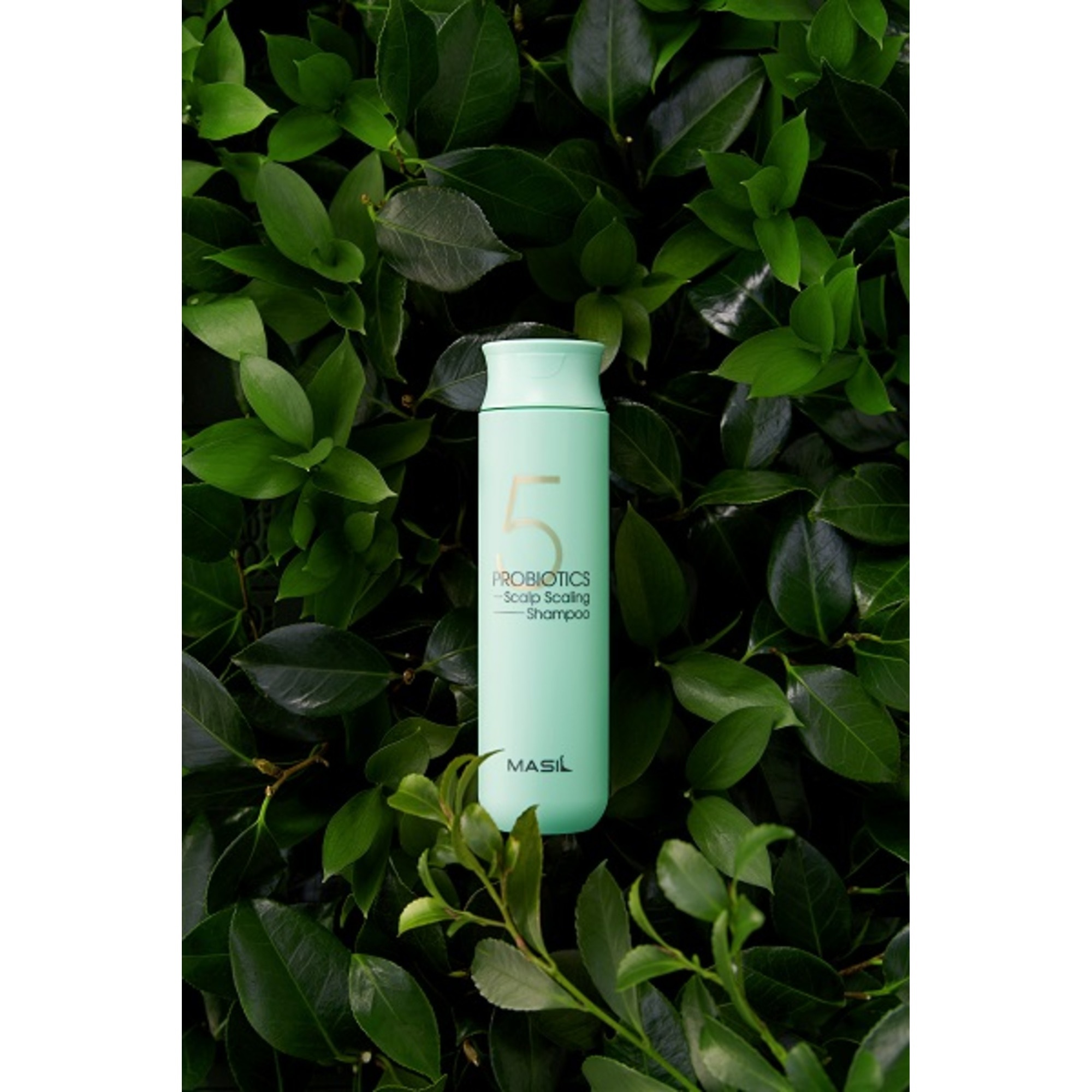 Sampon Scalp Scaling