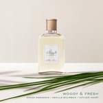 100 ML Ralph Lauren POLO EARTH Antilles Vetiver Apa de Toaleta  2 of 3 Antilles Vetiver Apa de Toaleta