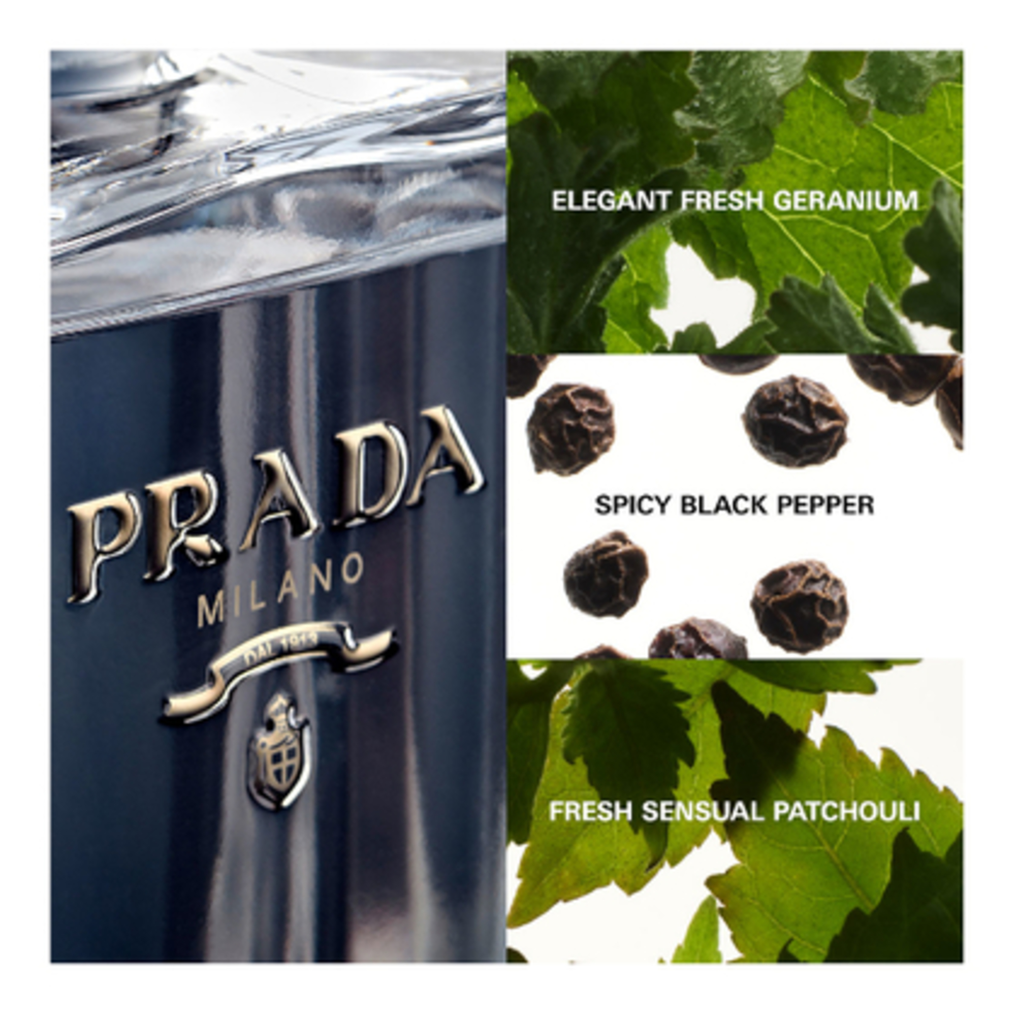 L'Homme Prada, Apa de Toaleta