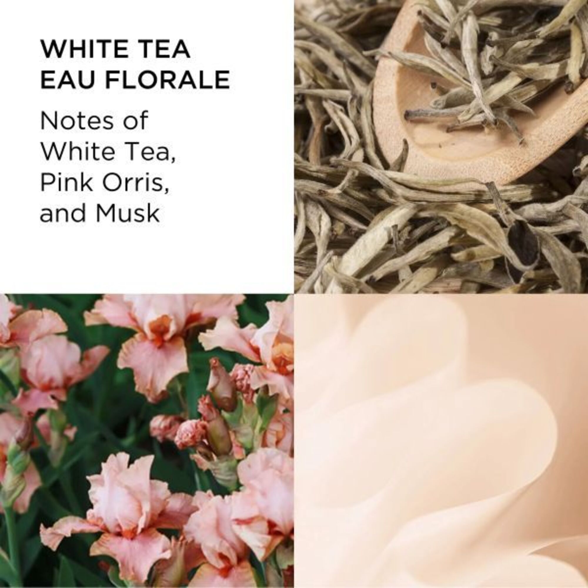 100 ML Elizabeth Arden WHITE TEA White Tea Eau Florale Apa de Toaleta  1 of 3 