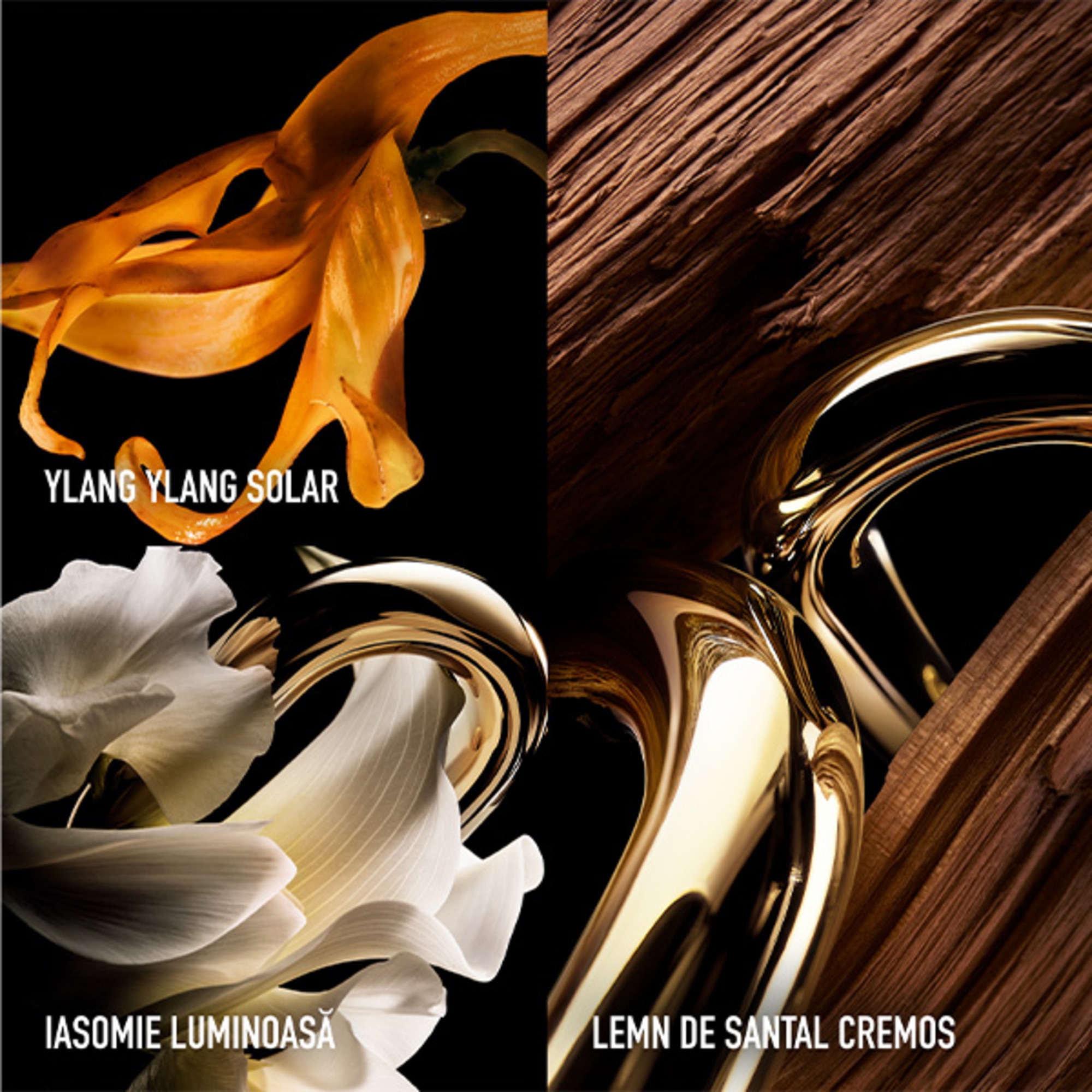 90 ML Rabanne MILLION Million Gold for Her Parfum  1 of 7 