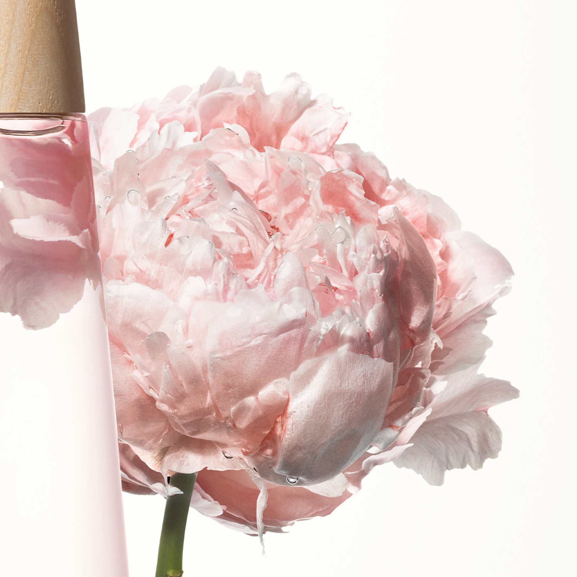 L Eau D Issey Pivoine Peony Apa de Toaleta