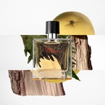 75 ML Hermès TERRE D'HERMES Pure Perfume  3 of 3 Pure Perfume